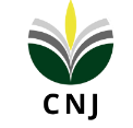 Logo CNJ